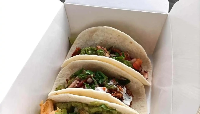 Le Beach Dog -  Taco - Arès