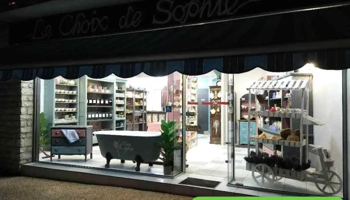Le Choix de Sophie - 86320 Lussac-Les-Châteaux