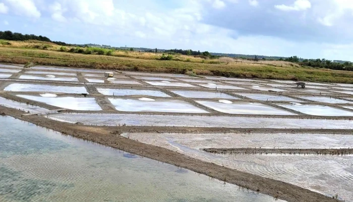 Le Comptoir Du Sel -  Magasin De Produits De La Ferme - Mornac-sur-seudre