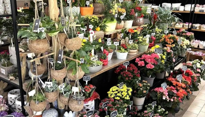 Le Jardin Du Temps -  Photos Du Proprietaire - Chef-boutonne