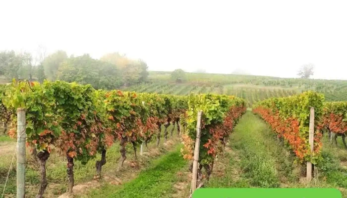 Les avinturiers - France