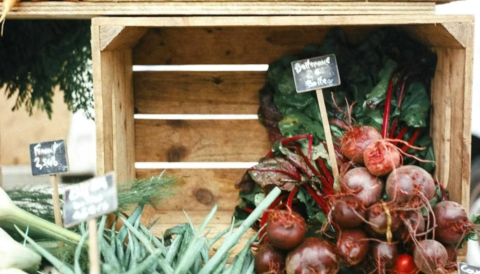 Les Champs l'Œil - Le marché - 24340 Mareuil En Périgord