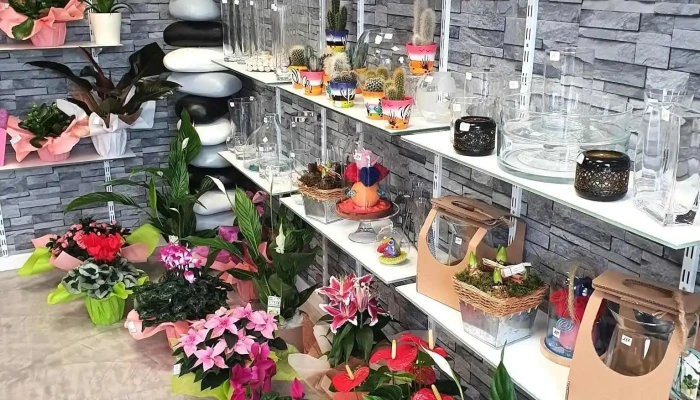 Les Fleurs de Vauban - Rue Jean Brun