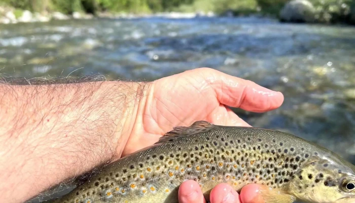 Les Moucheurs Voyageurs -  Site De Peche - Coarraze