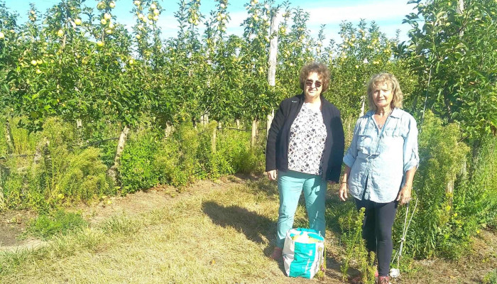 Les Vergers Des Benoits -  Magasin De Produits De La Ferme - Saintes