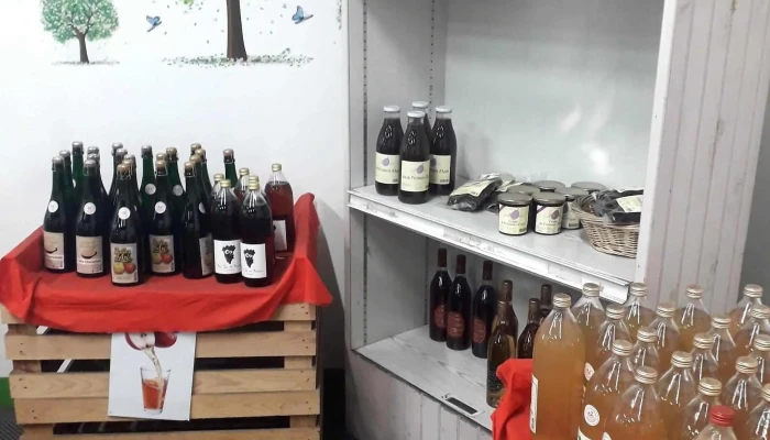 Les Vergers Des Benoits -  Photos Du Proprietaire - Saintes