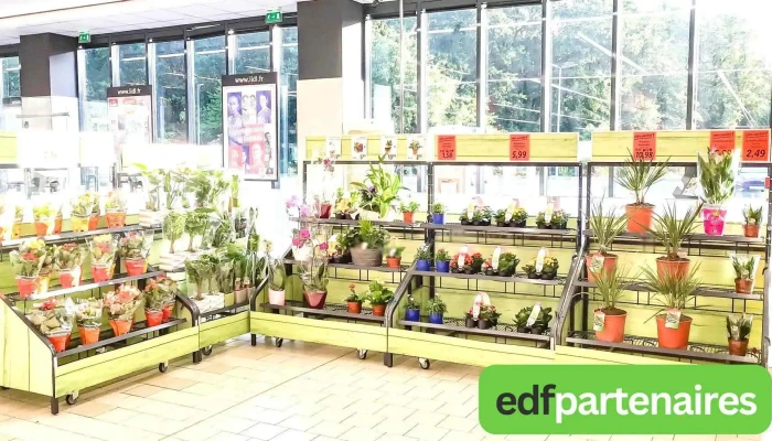 Lidl -  Interieur - Mourenx