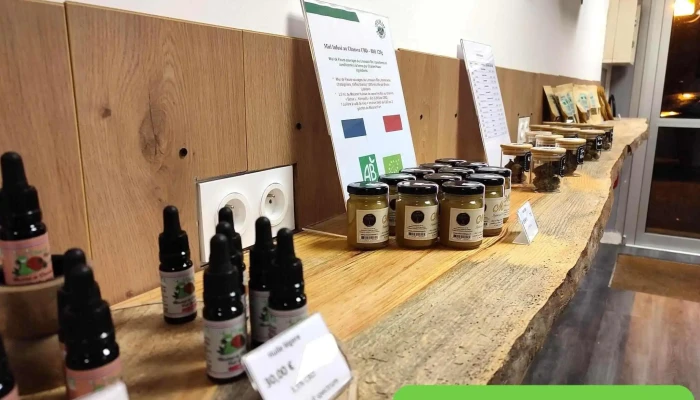 Local Du Cbd -  Interieur - Chauray