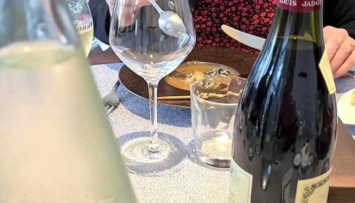 Logis Hotel Le Lion Dor Videos - Chauvigny