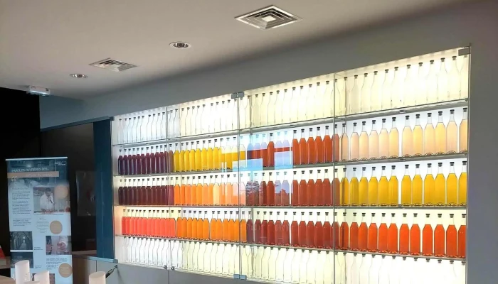 Maison De La Vigne Et Des Saveurs -  Promotion - Archiac