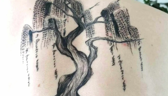 Makavely Tattoo -  Tatoueur - Chauvigny