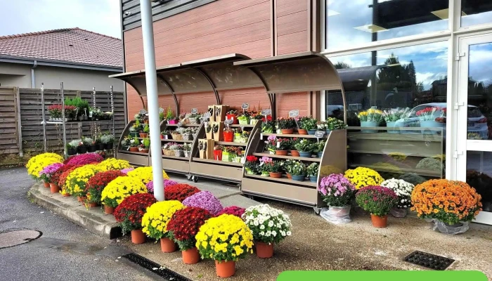 Marché aux Fleurs La Souterraine - 23300 La Souterraine
