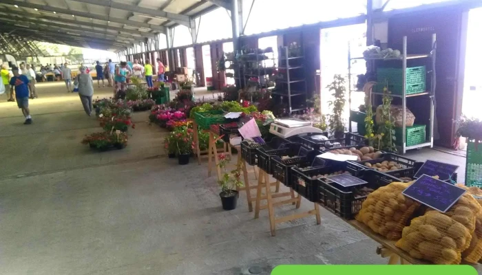 Marché aux Veaux - 79120 Lezay