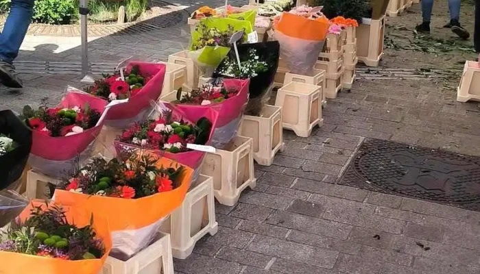 Marche De Bruges Tout - Bruges