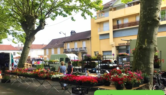 Marché de Jurançon - France