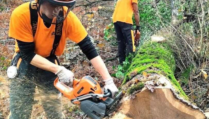 Mfr Forêt Environnement - Chevanceaux