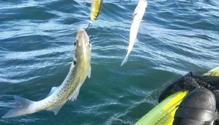 Mondiet Peche -  Poisson - Arès