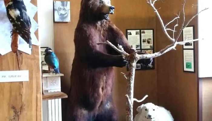 Musee Dossau Sculpture - Arudy
