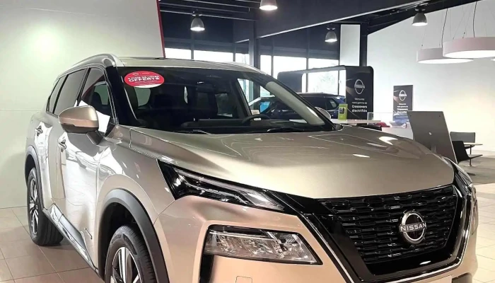 Nissan Bruges -    Edenauto Photos Du Proprietaire - Bruges