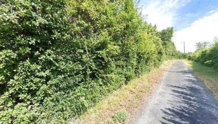 Noz -  Street View Et 360deg - Saintes