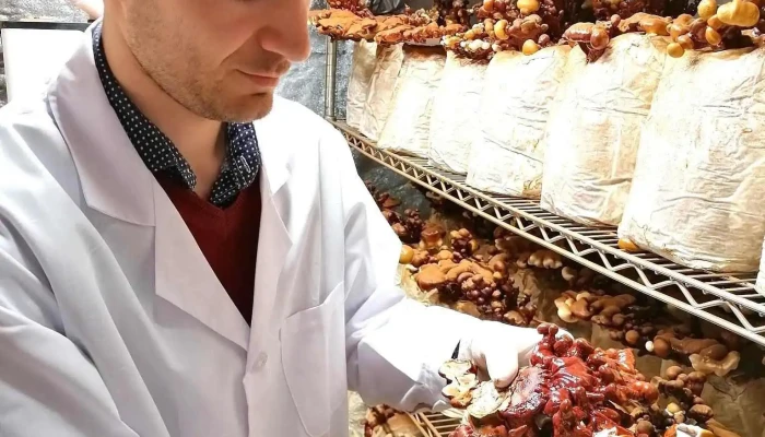 Odyssey Mushrooms -  Photos Du Proprietaire - Ascain