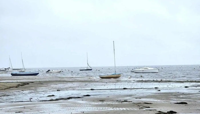 Office De Tourisme Dares   Categorie 1 Les Plus Recentes - Arès