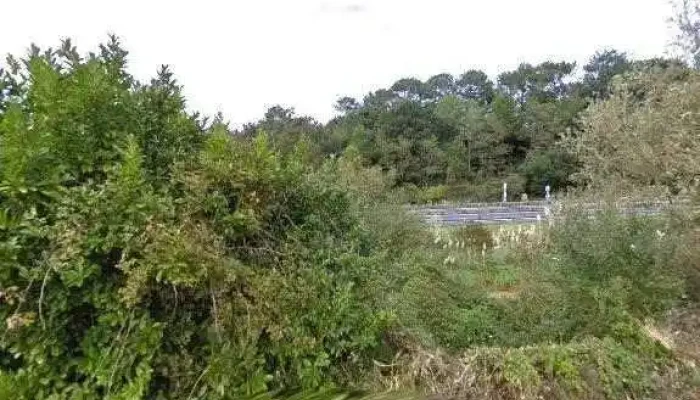 Orchis -  Street View Et 360deg - Bidart