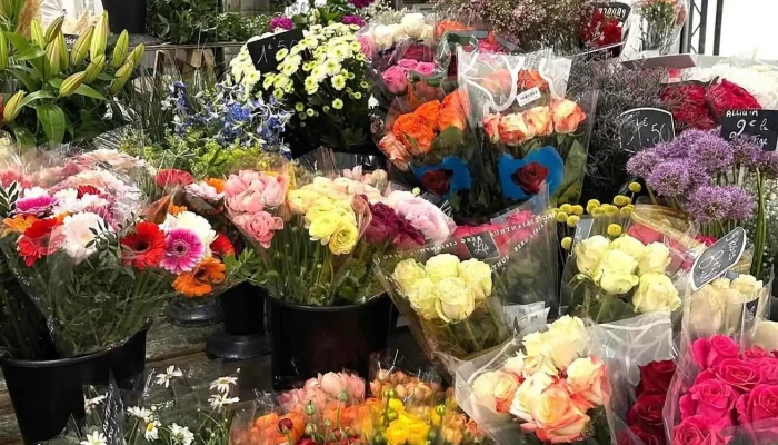 Pedurthe Fleurs - 64420 Nousty