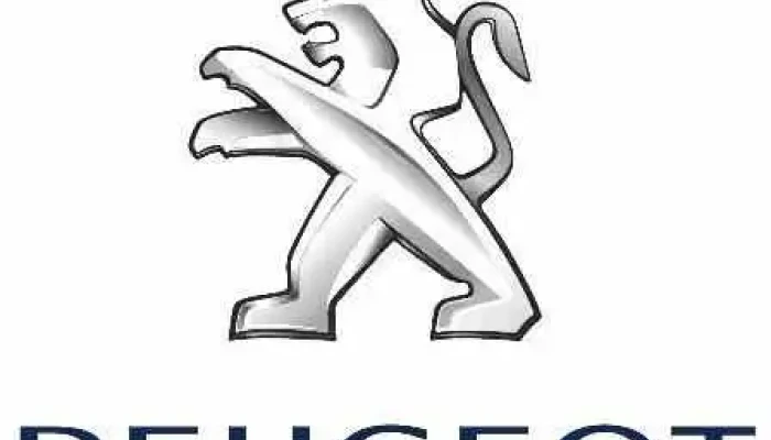 Peugeot Garage Danglade - Ayguemorte-Les-Graves
