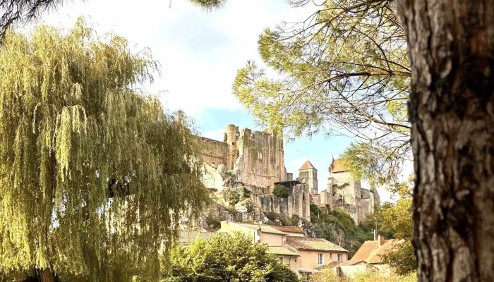 Place Du Marche   86300 Chauvigny Preservation Du Patrimoine - Chauvigny