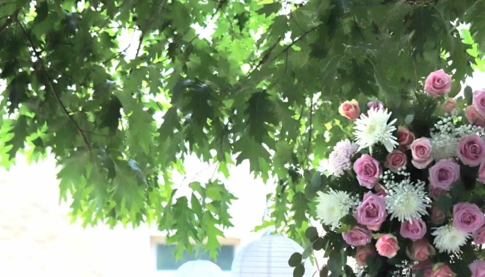 Rebelles Flowers -  Ou - Audenge