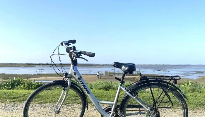 Roulen Velos Service De Location De Velo - Audenge