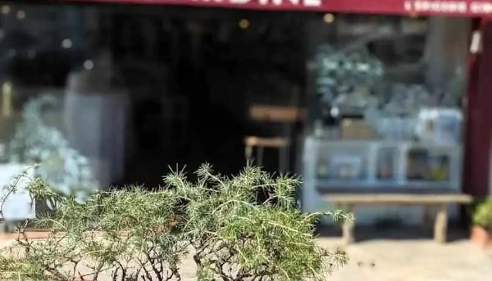 Sardine, l'épicerie fine de Ciboure - Ciboure