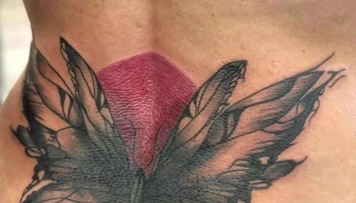 Seb Teon -    Tattoofr Audenge - Audenge