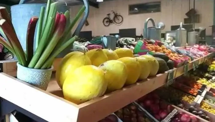 Seme Photos Du Proprietaire - Arès