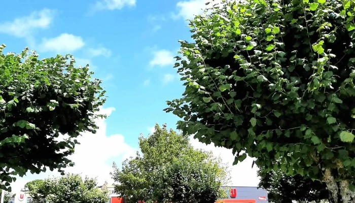 Super U Et Drive -  Photos - Saint-georges-de-didonne