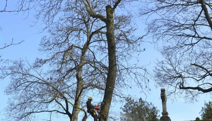 Taille Haut - 16600 Magnac-Sur-Touvre