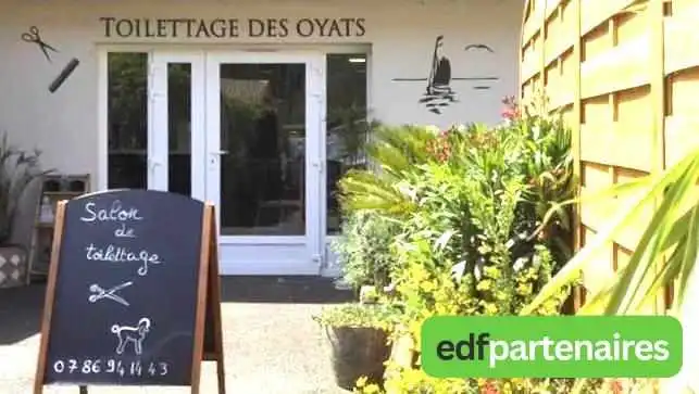 Toilettage Des Oyats -  Exterieur - Arès