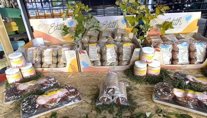 Tomco Niort   Animalerie   Dog Wash Interieur - Chauray