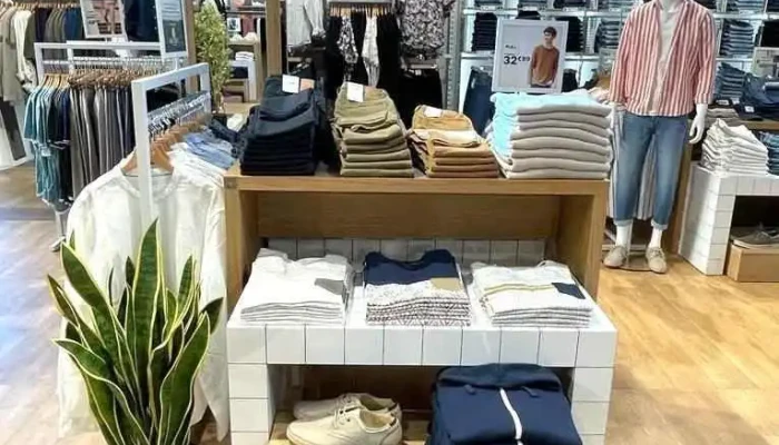 Vib's (Cache Cache - Bonobo - Bréal) - 64400 Oloron-Sainte-Marie