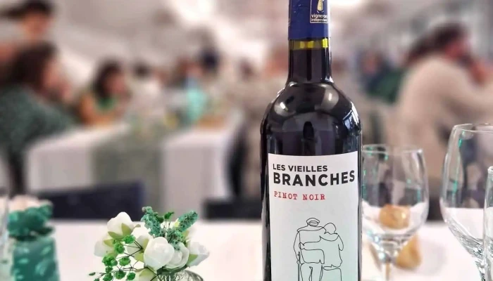 Vins Chez Toi T Caviste Itinerant En Vallee D Ossau Mariages Evenements Prives Pros Initiation Degustation De Vin Arudy 4 - Arudy